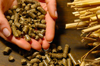 free Burnmouth biomass boiler quotes